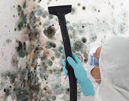 Best Residential Mold Inspection & Testing  in Sturgis, MI